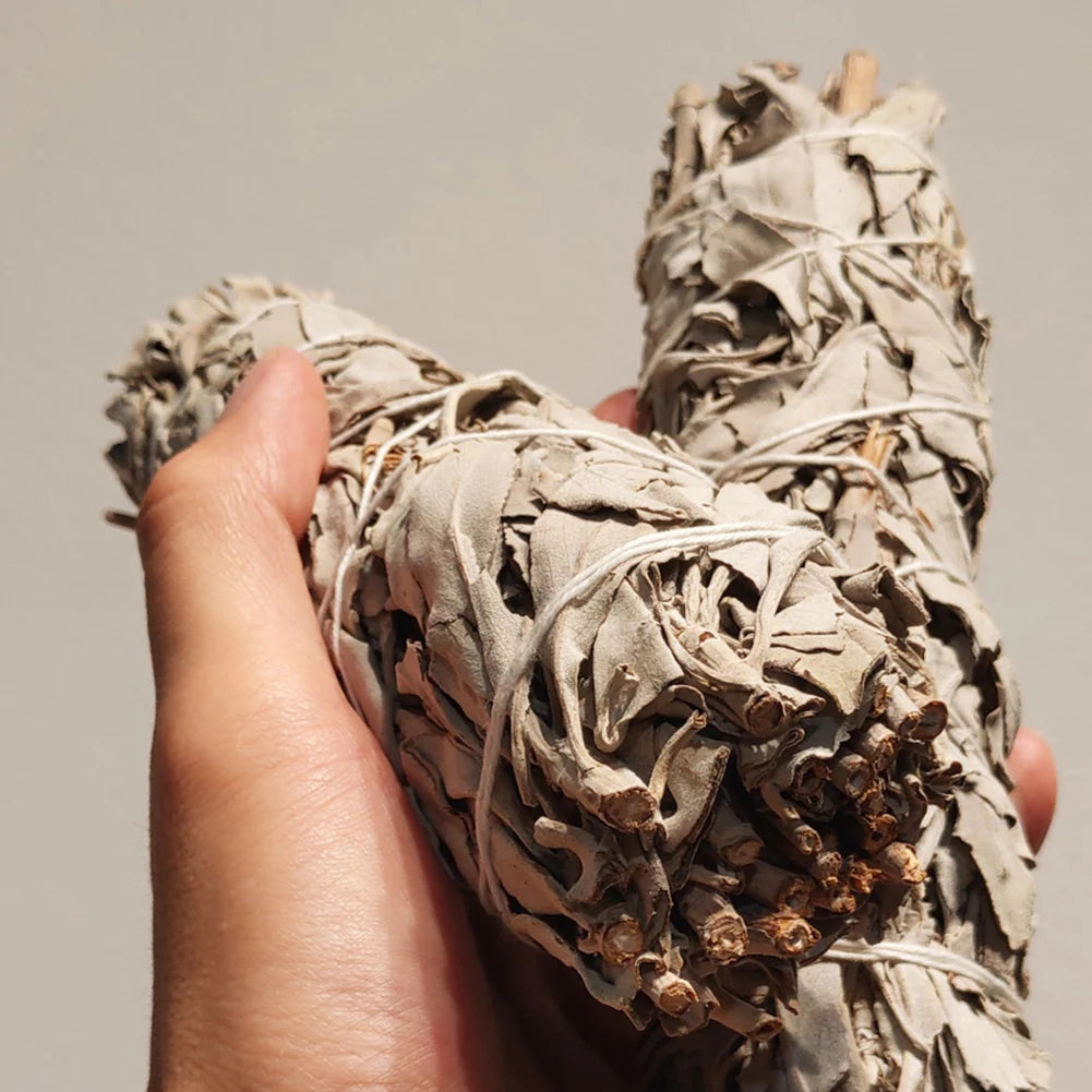 White Sage Smudge Sticks Bundle for Home Energy Cleansing