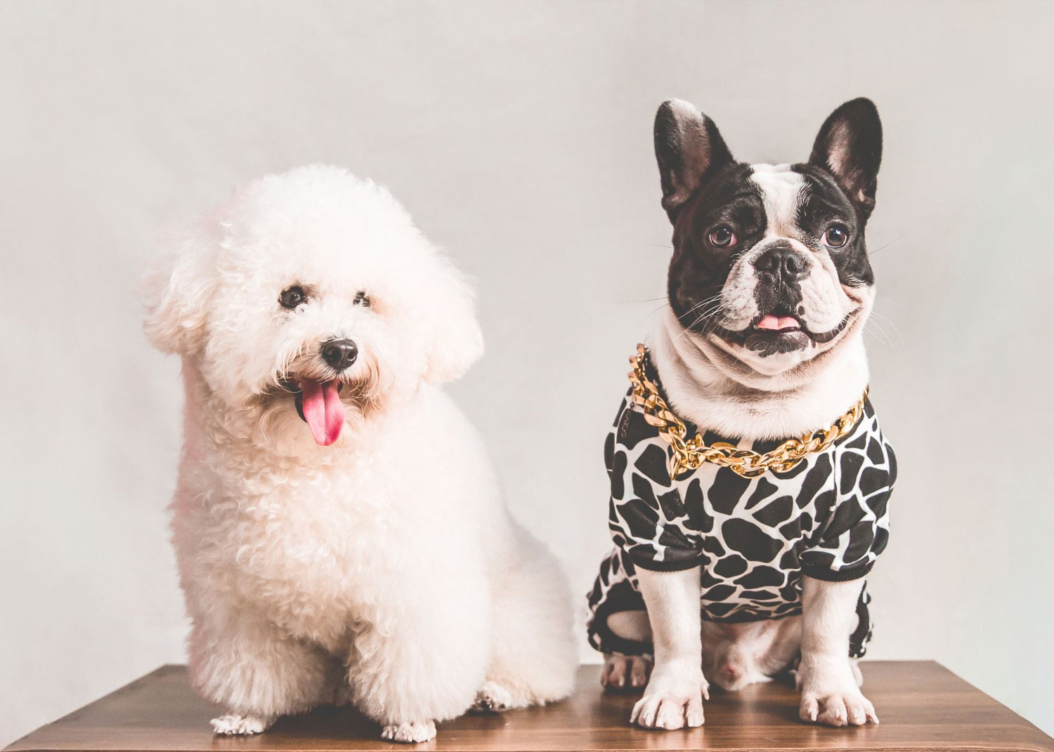 Pet Supplies