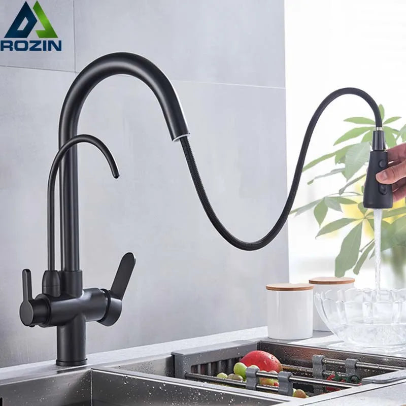 Rozin Purification Pull Out Kitchen Faucet With Water Filter