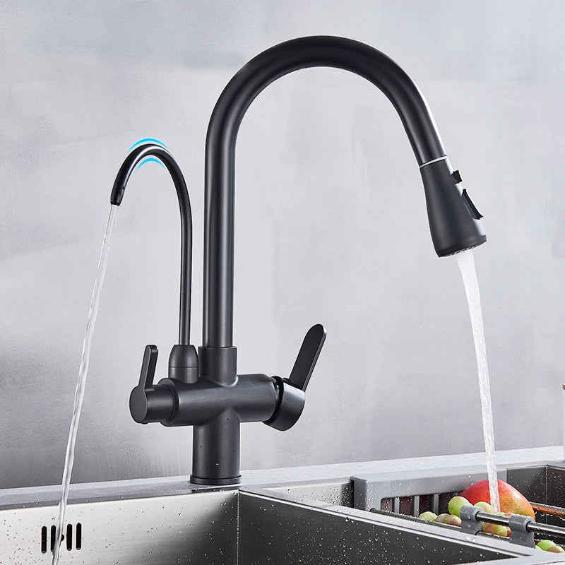 Rozin Purification Pull Out Kitchen Faucet With Water Filter