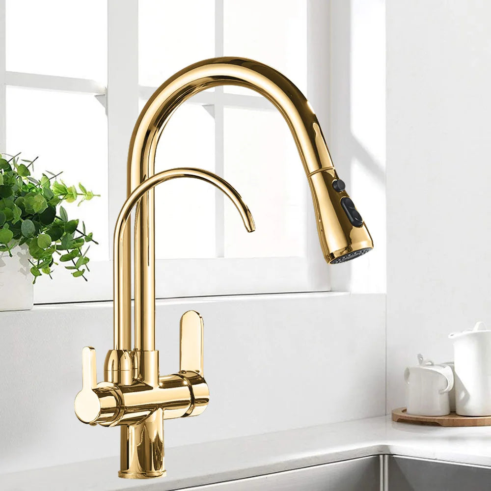 Rozin Three Way Water Filtration Kitchen Faucet With Pull Sprayer