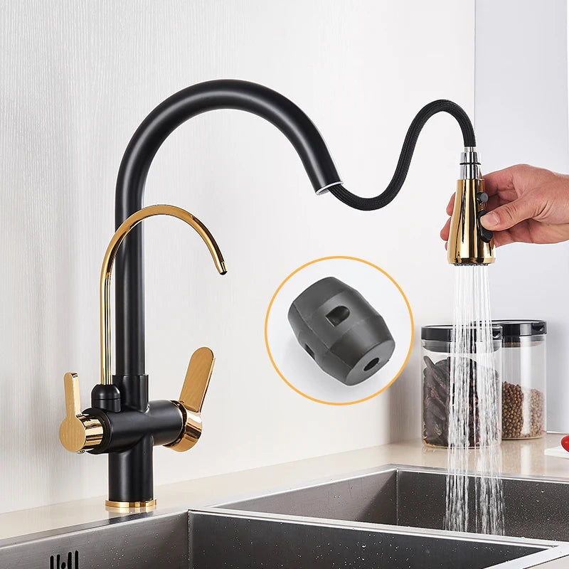 Rozin Three Way Water Filtration Kitchen Faucet With Pull Sprayer