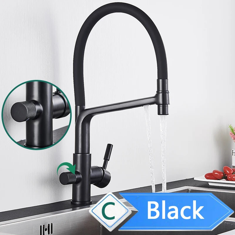 Rozin Purification Pull Out Kitchen Faucet With Water Filter