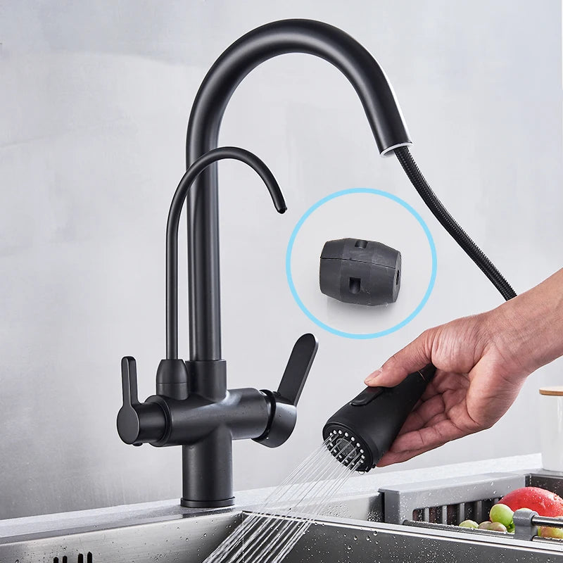 Rozin Purification Pull Out Kitchen Faucet With Water Filter