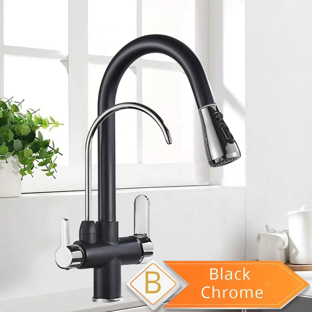 Rozin Three Way Water Filtration Kitchen Faucet With Pull Sprayer