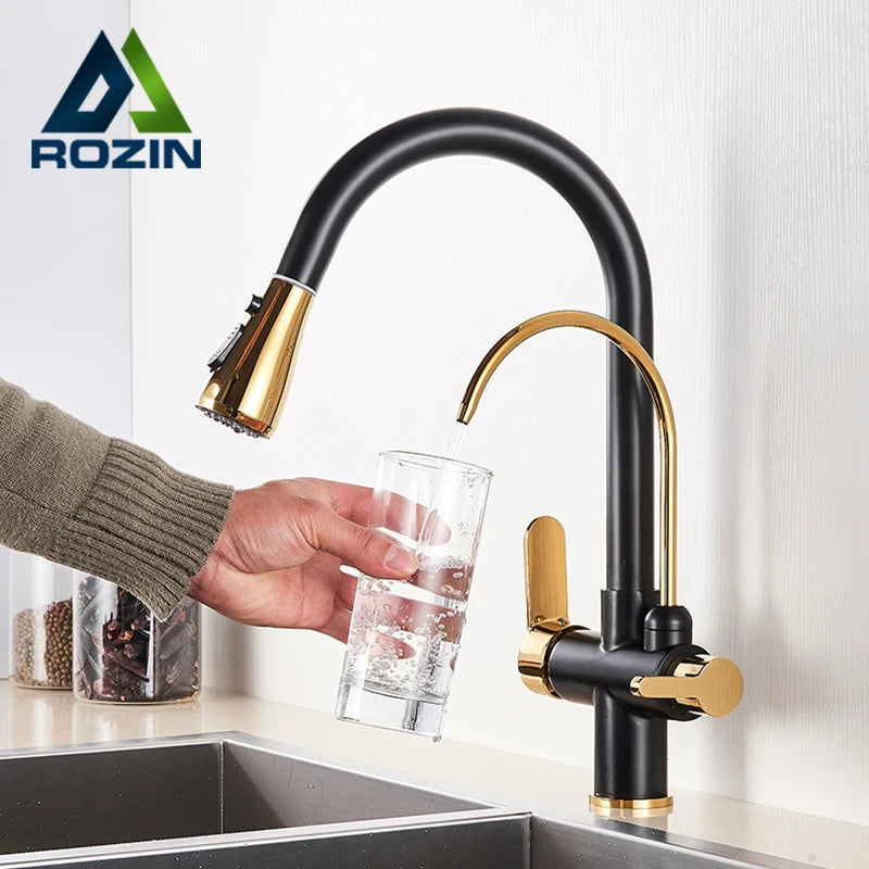 Rozin Three Way Water Filtration Kitchen Faucet With Pull Sprayer