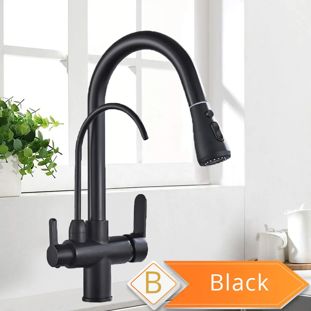 Rozin Three Way Water Filtration Kitchen Faucet With Pull Sprayer
