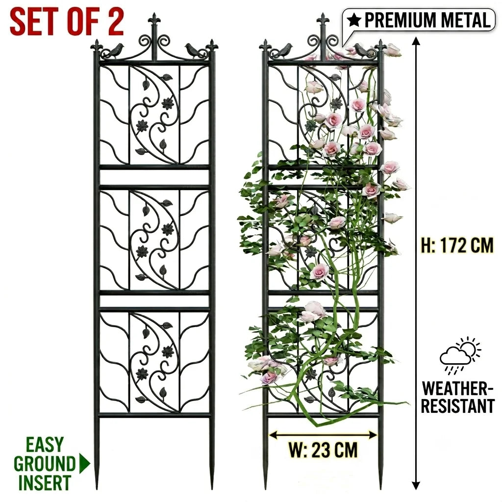 Wisfor Metal Garden Trellis 2 Pack For Outdoor Climbing Plants