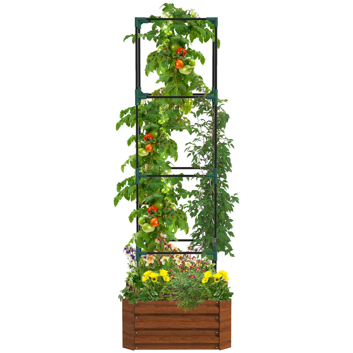 Outsunny Raised Garden Bed With Tomato Trellis And Open Bottom
