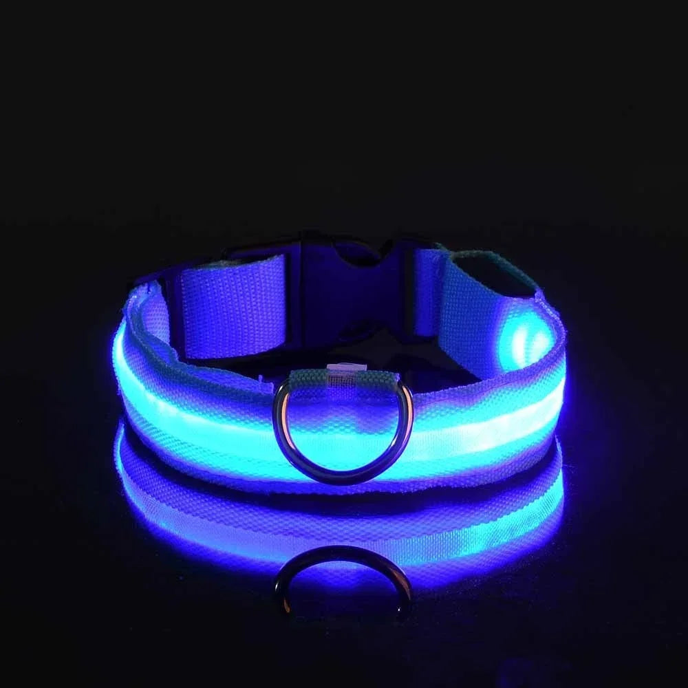 Nylon Dog Collar LED Night Safety Flashing Glow In Dark