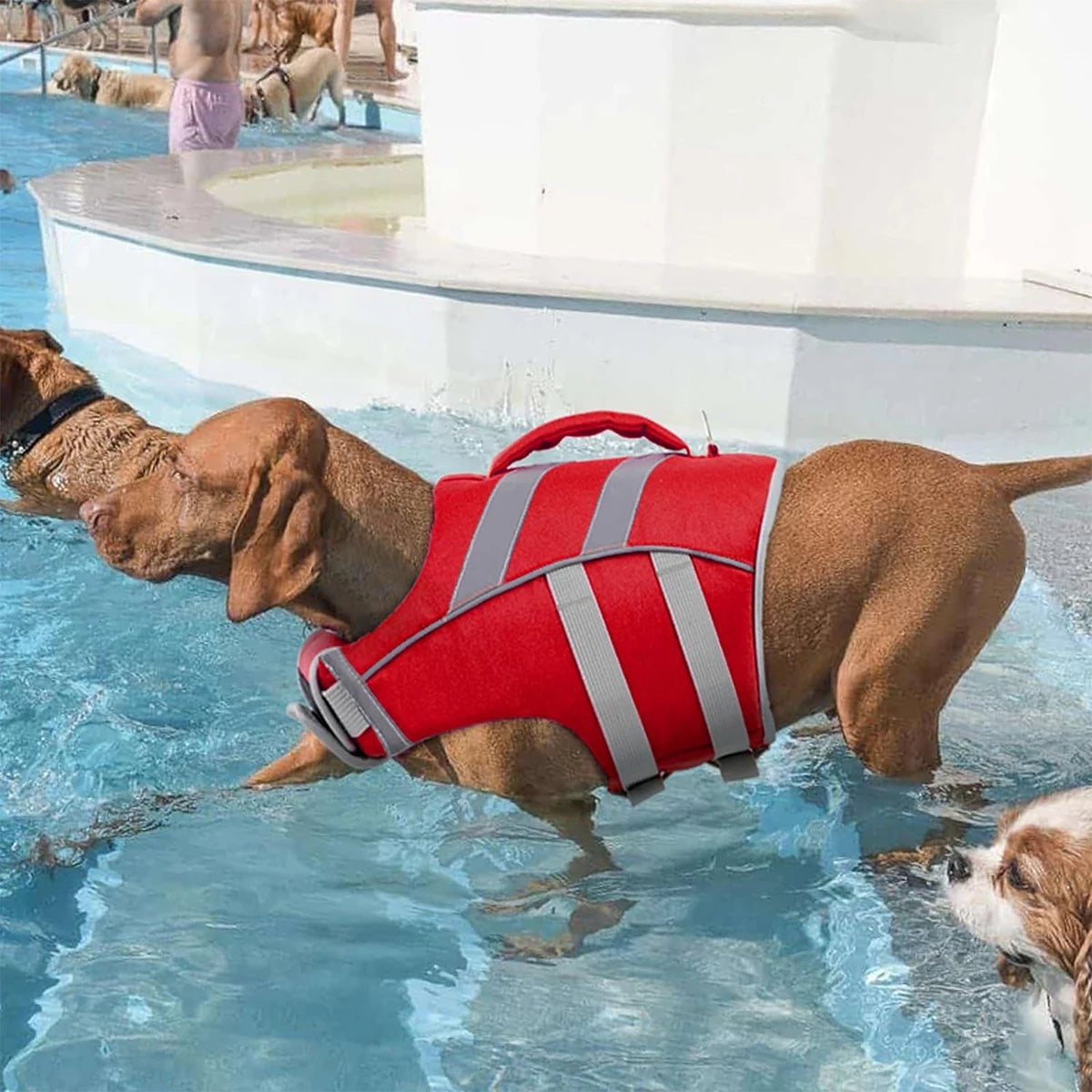Waterproof Polyester Dog Life Jacket With Reflective Stripes For Safety