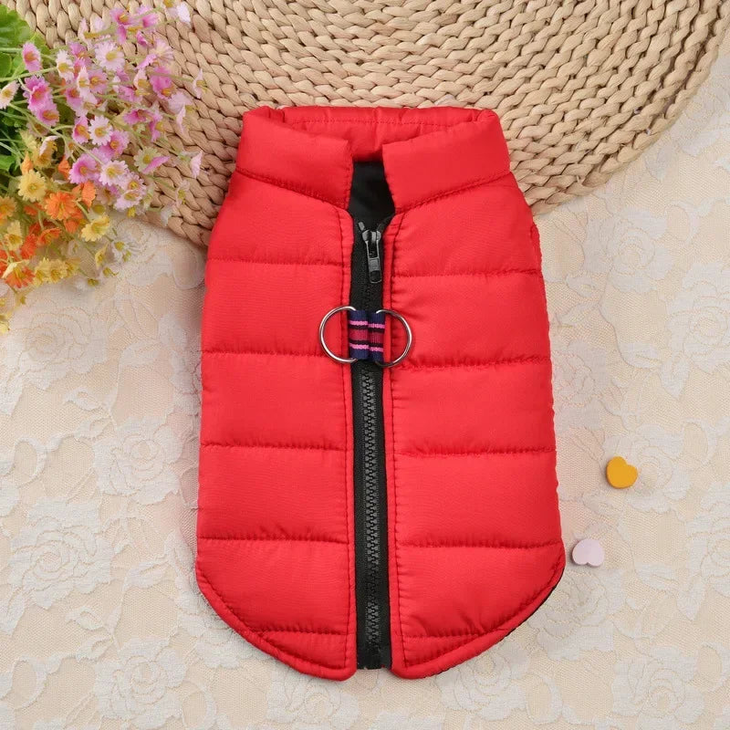 Winter Windproof Dog Coat Jacket Padded Clothing for Small Breeds