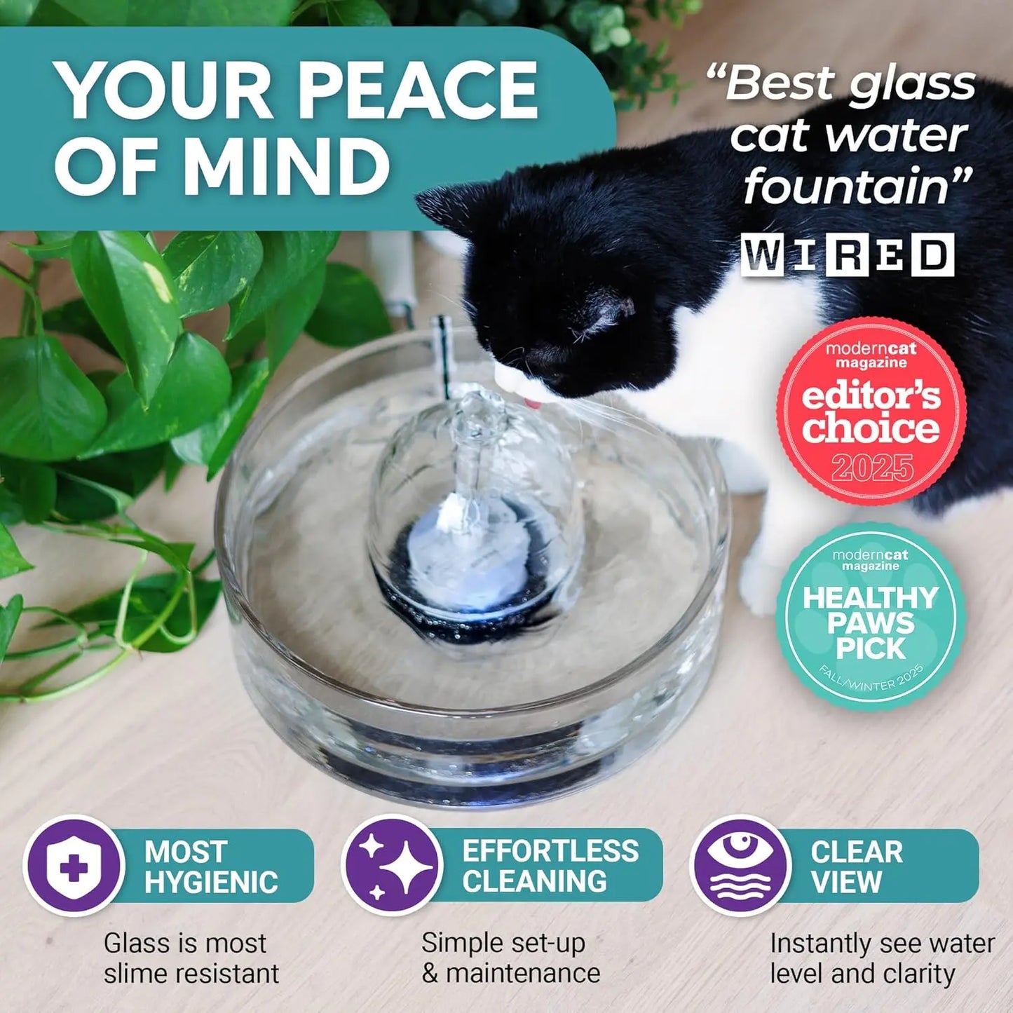 Glass Cat Water Fountain 90oz Automatic Pet Water Dispenser