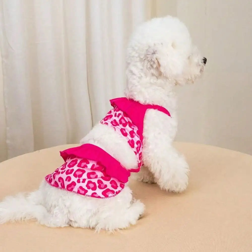 Lace Printed Dog Dress Outfit For Everyday Wear And Photoshoots