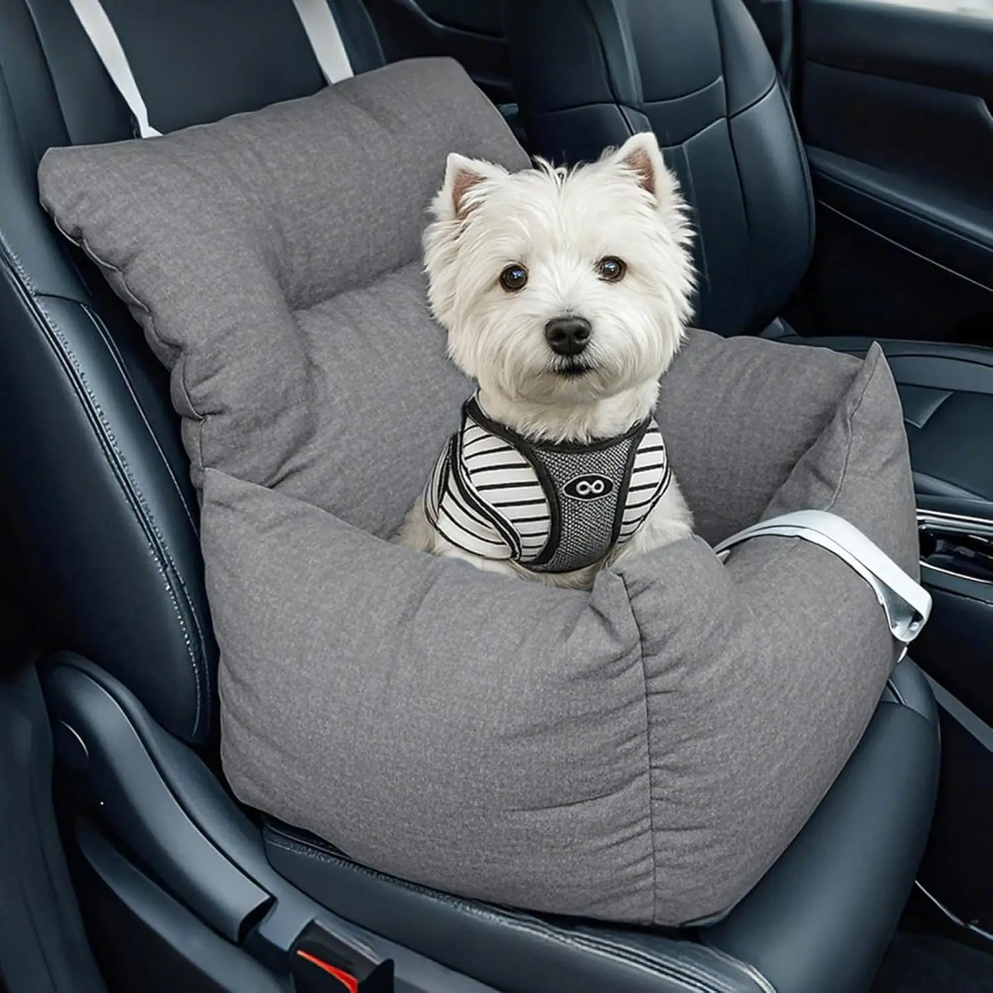 HiMISS Portable Dog Booster Car Seat Bed For Small Dogs