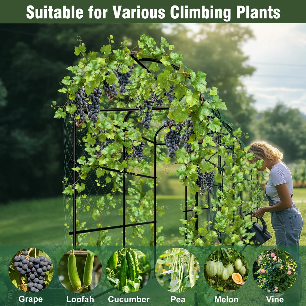 Wisfor U Shaped Metal Tall Garden Plant Trellis for Climbing Vegetables