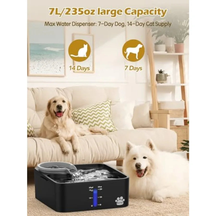 Dog Water Fountain BPA Free Dispenser With Filtration Pump