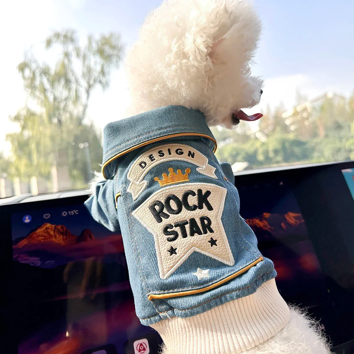 Pet Polyester Jacket With Rock Embroidery For Dogs And Cats