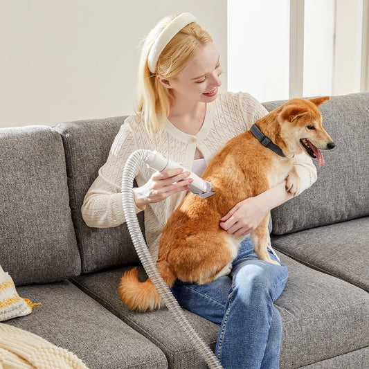 JHK Pet Grooming Vacuum Kit With 3 Suction Modes Cordless