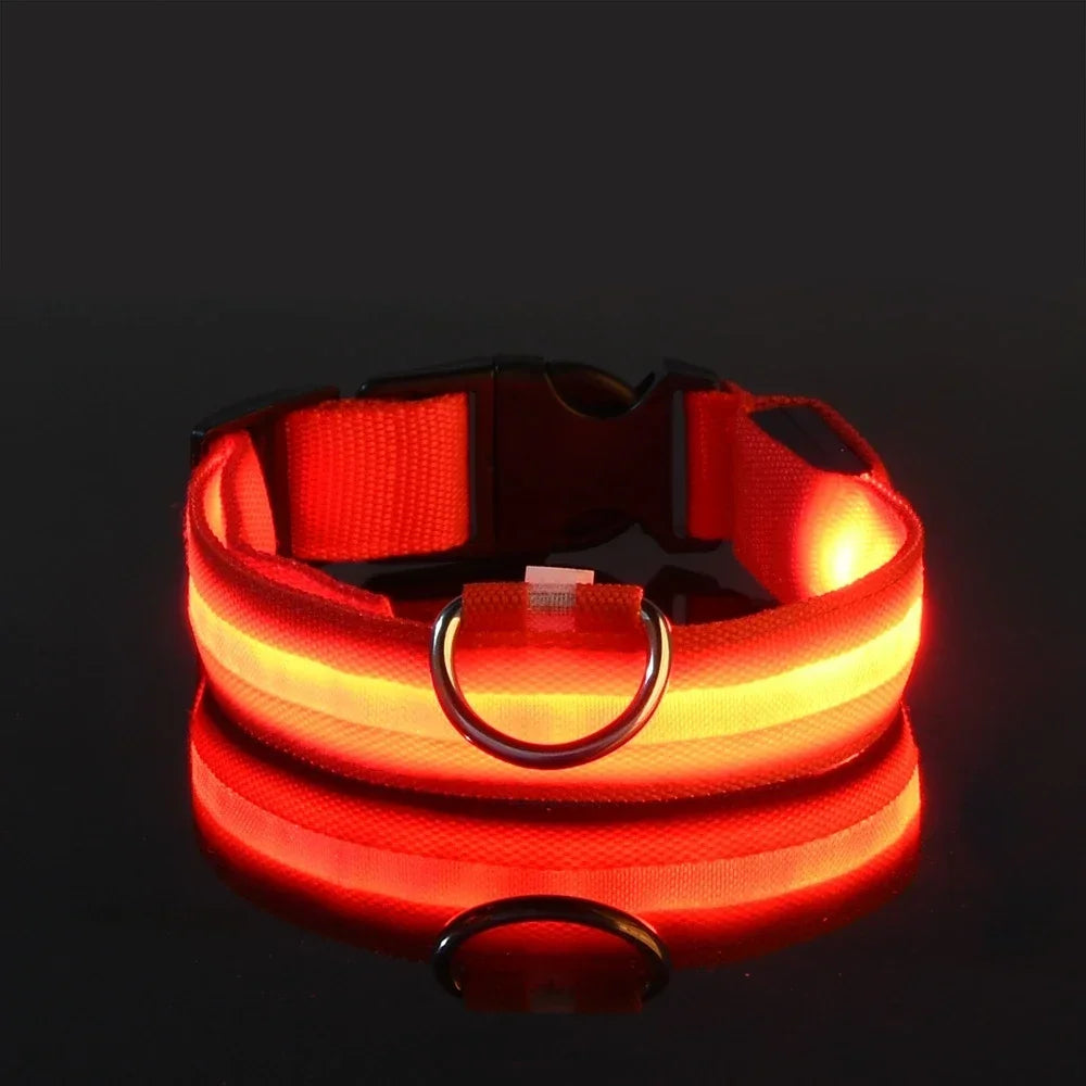 Nylon Dog Collar LED Night Safety Flashing Glow In Dark