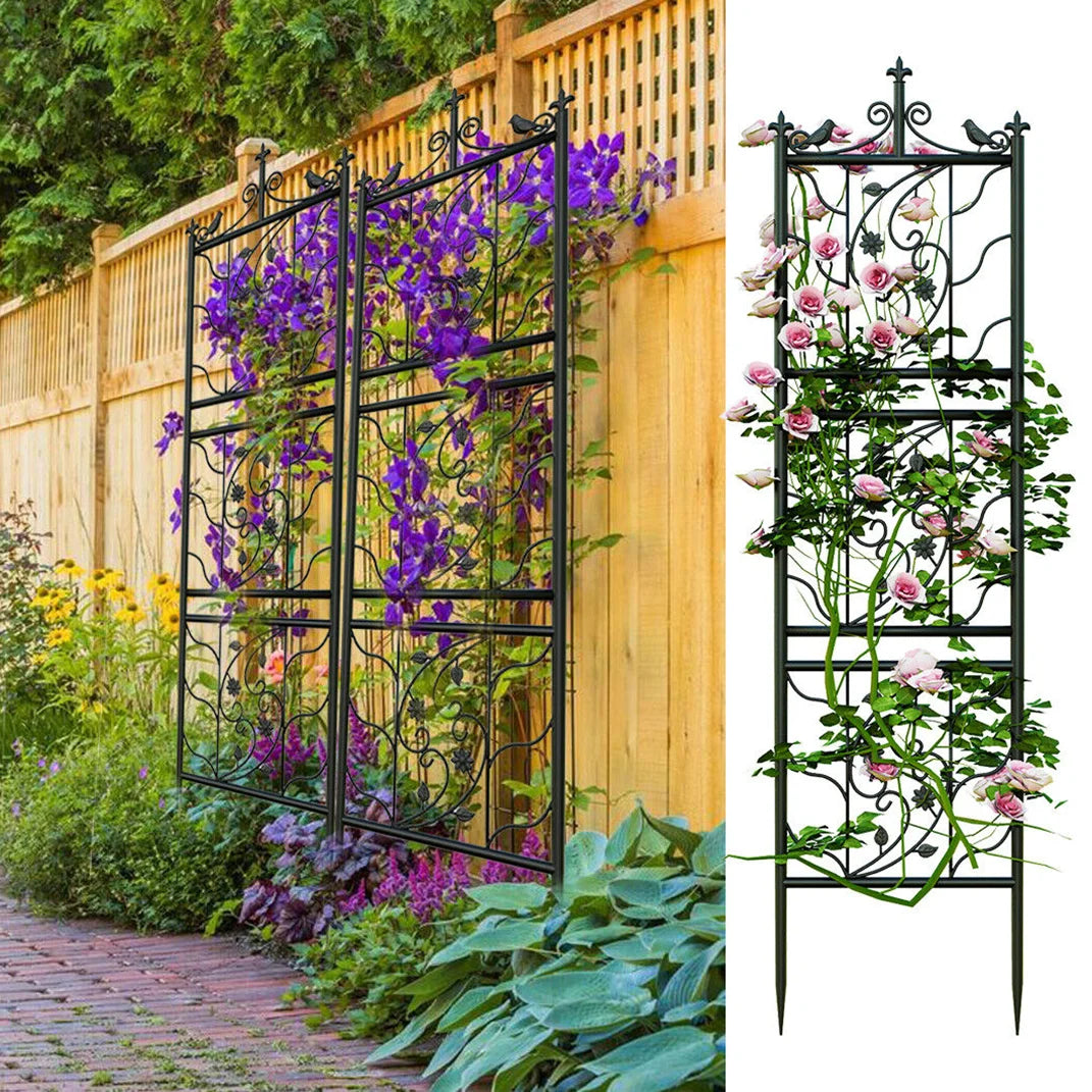 Wisfor Metal Garden Trellis 2 Pack For Outdoor Climbing Plants