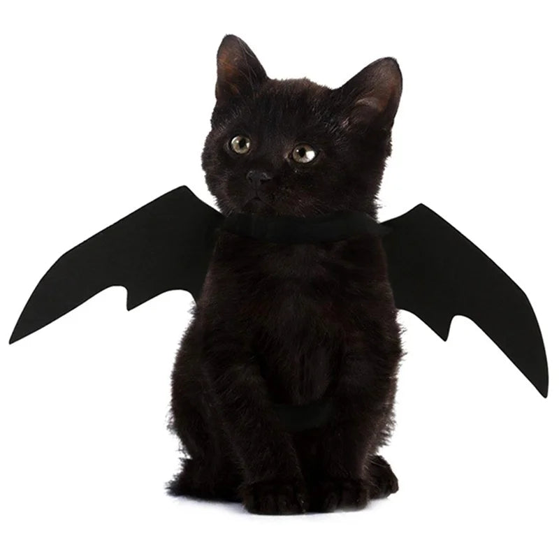 Halloween Bat Wings Pet Harness Costume for Cat and Dog