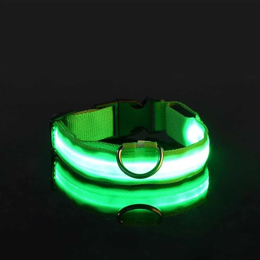 Nylon Dog Collar LED Night Safety Flashing Glow In Dark