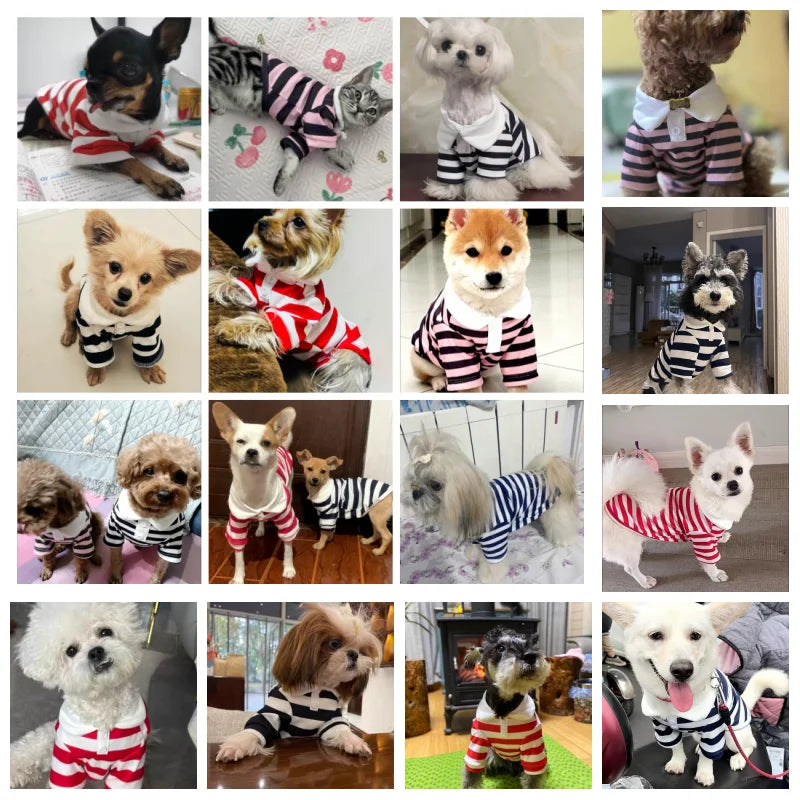 Summer Polo Dog Shirt Bichon Frise Chihuahua Stripe Vest
