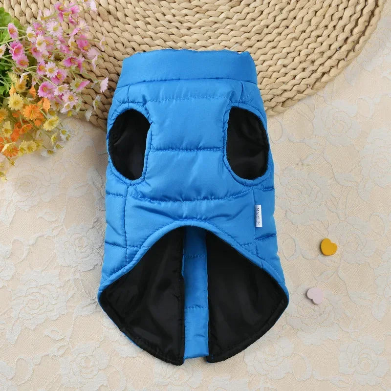 Winter Windproof Dog Coat Jacket Padded Clothing for Small Breeds