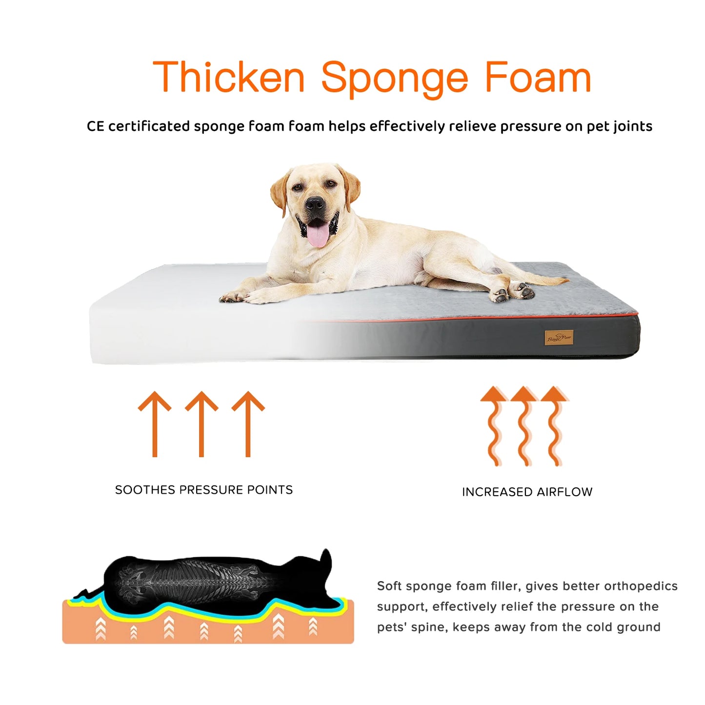 BINGOPAW Orthopedic Dog Bed Padded Foam Cushion Washable Cover