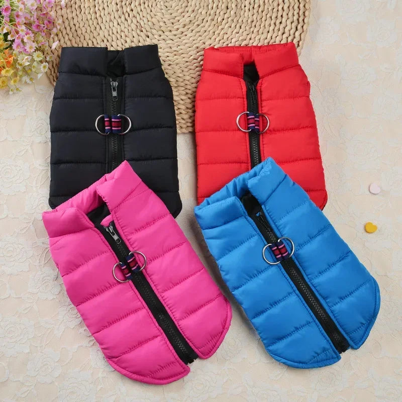 Winter Windproof Dog Coat Jacket Padded Clothing for Small Breeds