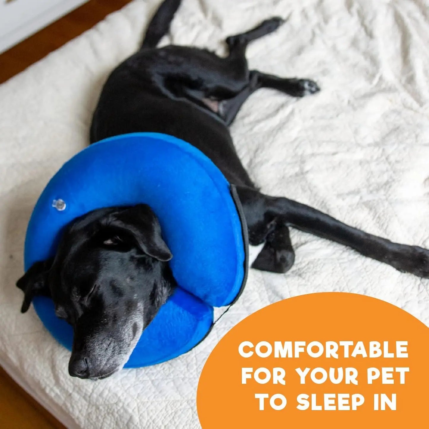 Inflatable Dog Cone Collar Alternative Soft Donut ECollar For Pets