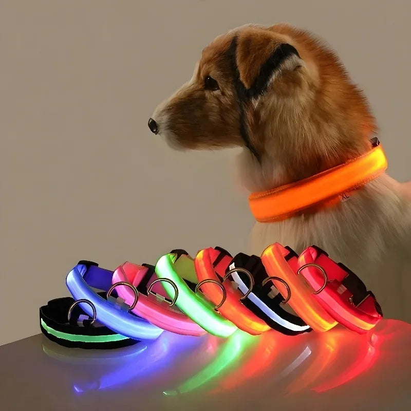 Nylon Dog Collar LED Night Safety Flashing Glow In Dark