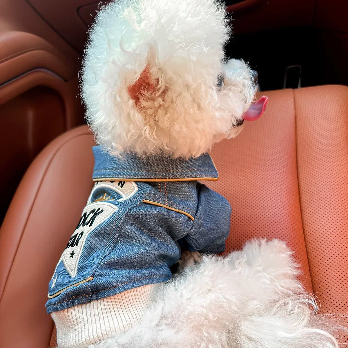 Pet Polyester Jacket With Rock Embroidery For Dogs And Cats