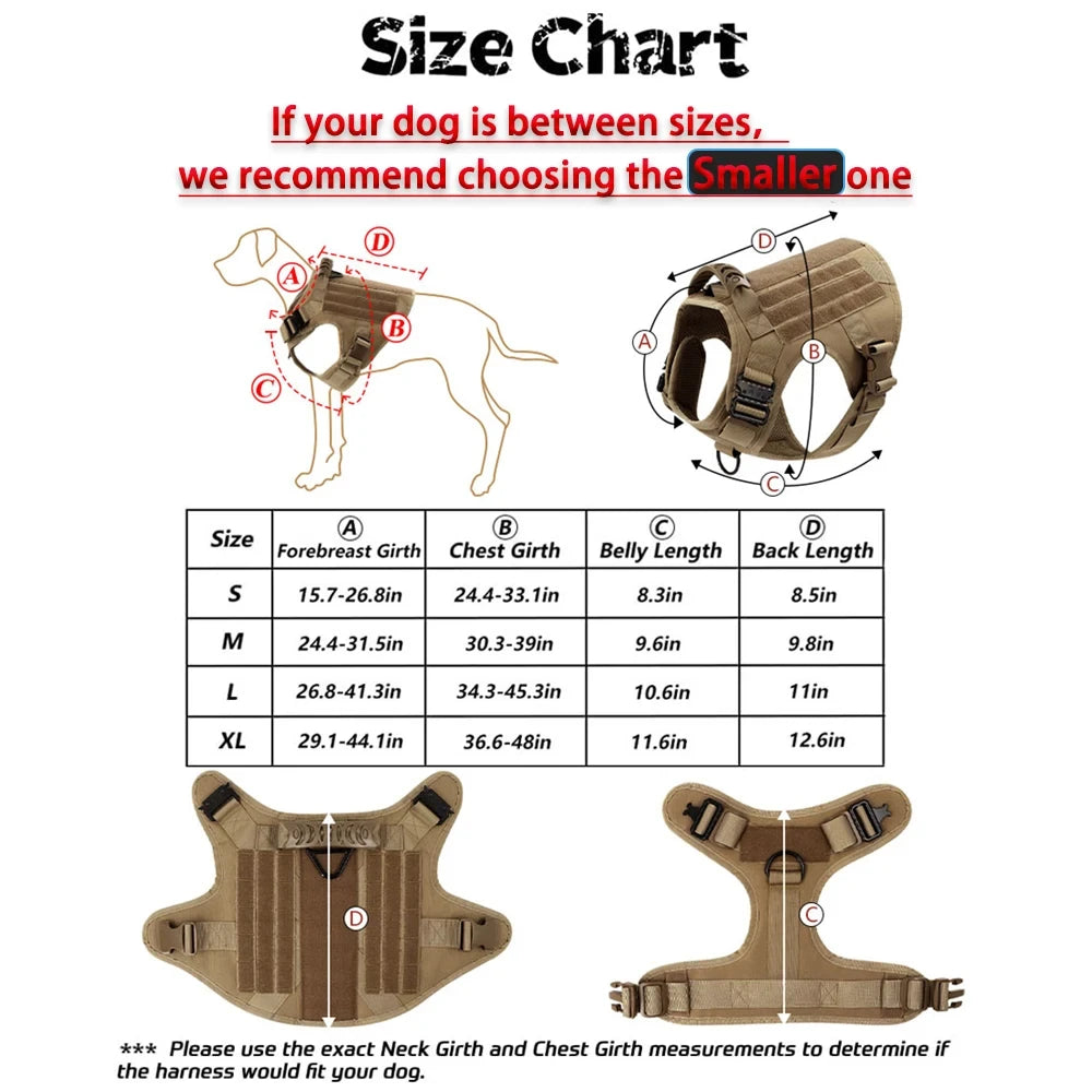 Durable Nylon Dog Harness And Collar Set For Outdoor Walking Training