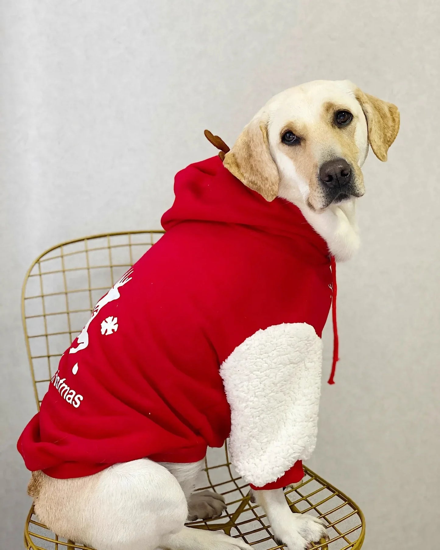 Winter Cotton Fleece Christmas Dog Sweatshirt For Cozy Winter Wear