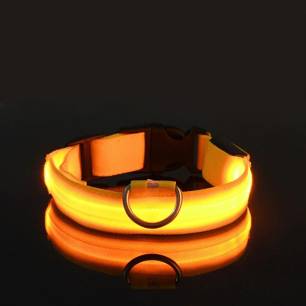Nylon Dog Collar LED Night Safety Flashing Glow In Dark