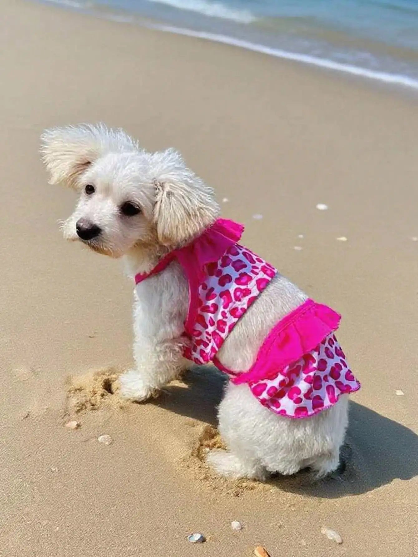 Lace Printed Dog Dress Outfit For Everyday Wear And Photoshoots