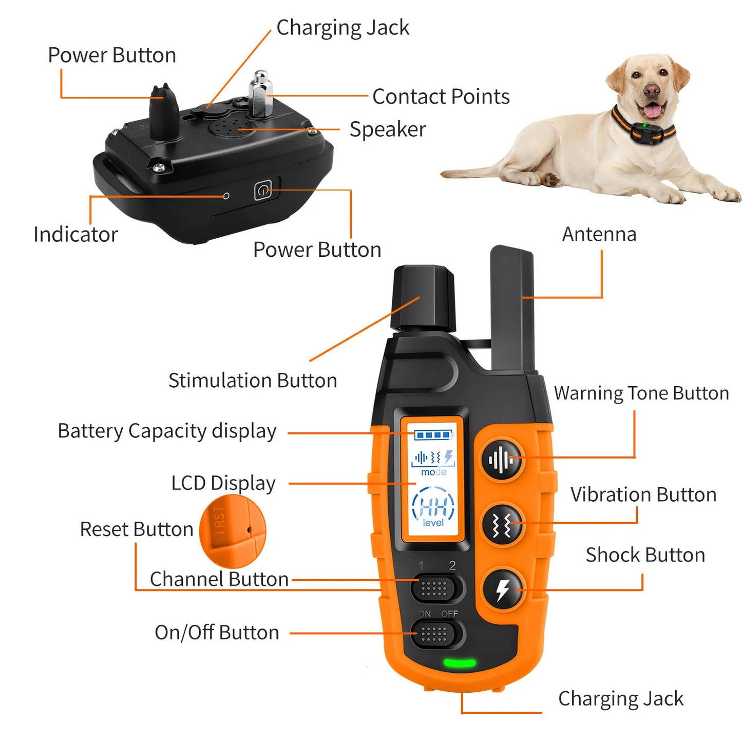 WXRPET 3300Ft Electric Dog Training Collar Remote Control Waterproof
