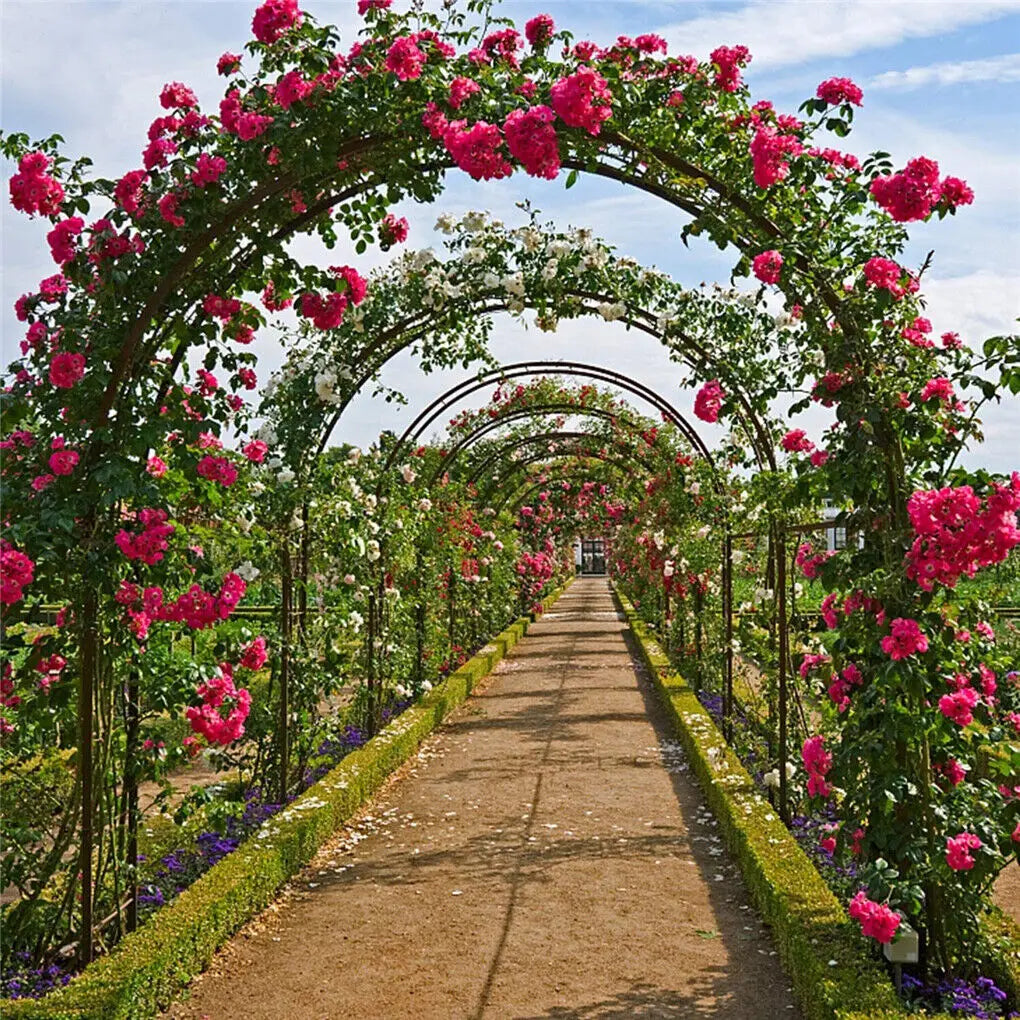 Heavy Duty Metal Garden Arch Trellis for Climbing Plants