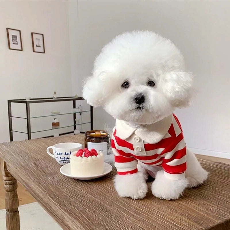 Summer Polo Dog Shirt Bichon Frise Chihuahua Stripe Vest