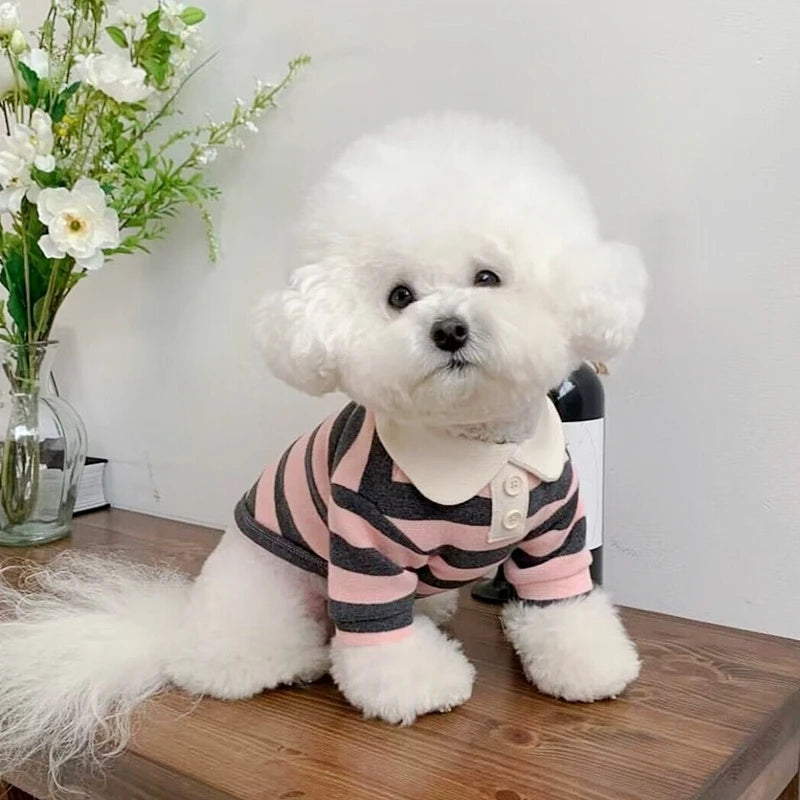 Summer Polo Dog Shirt Bichon Frise Chihuahua Stripe Vest