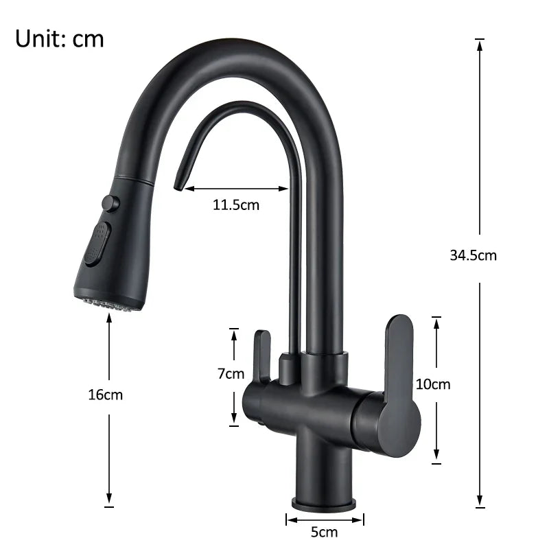 Rozin Three Way Water Filtration Kitchen Faucet With Pull Sprayer