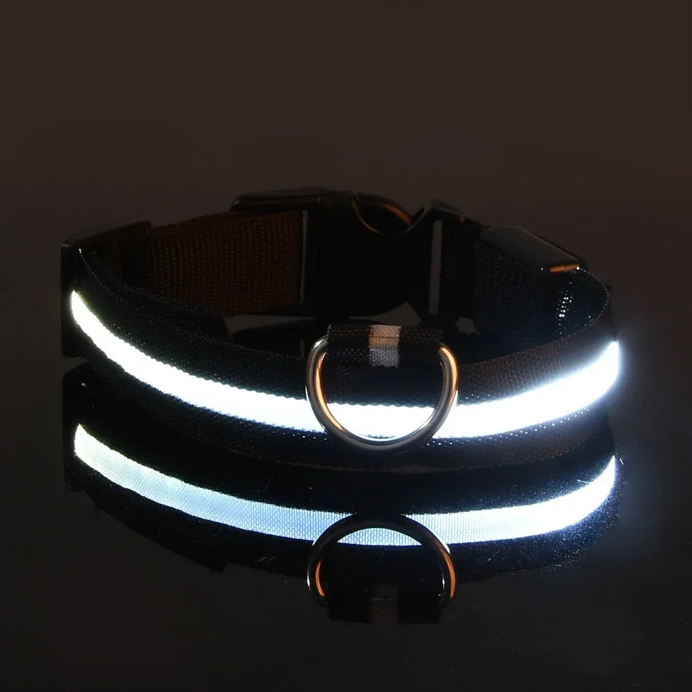 Nylon Dog Collar LED Night Safety Flashing Glow In Dark