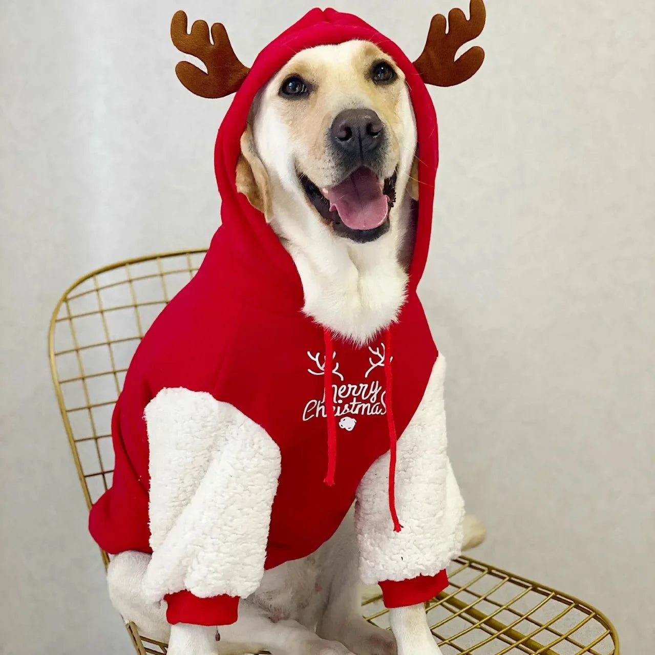 Winter Cotton Fleece Christmas Dog Sweatshirt For Cozy Winter Wear