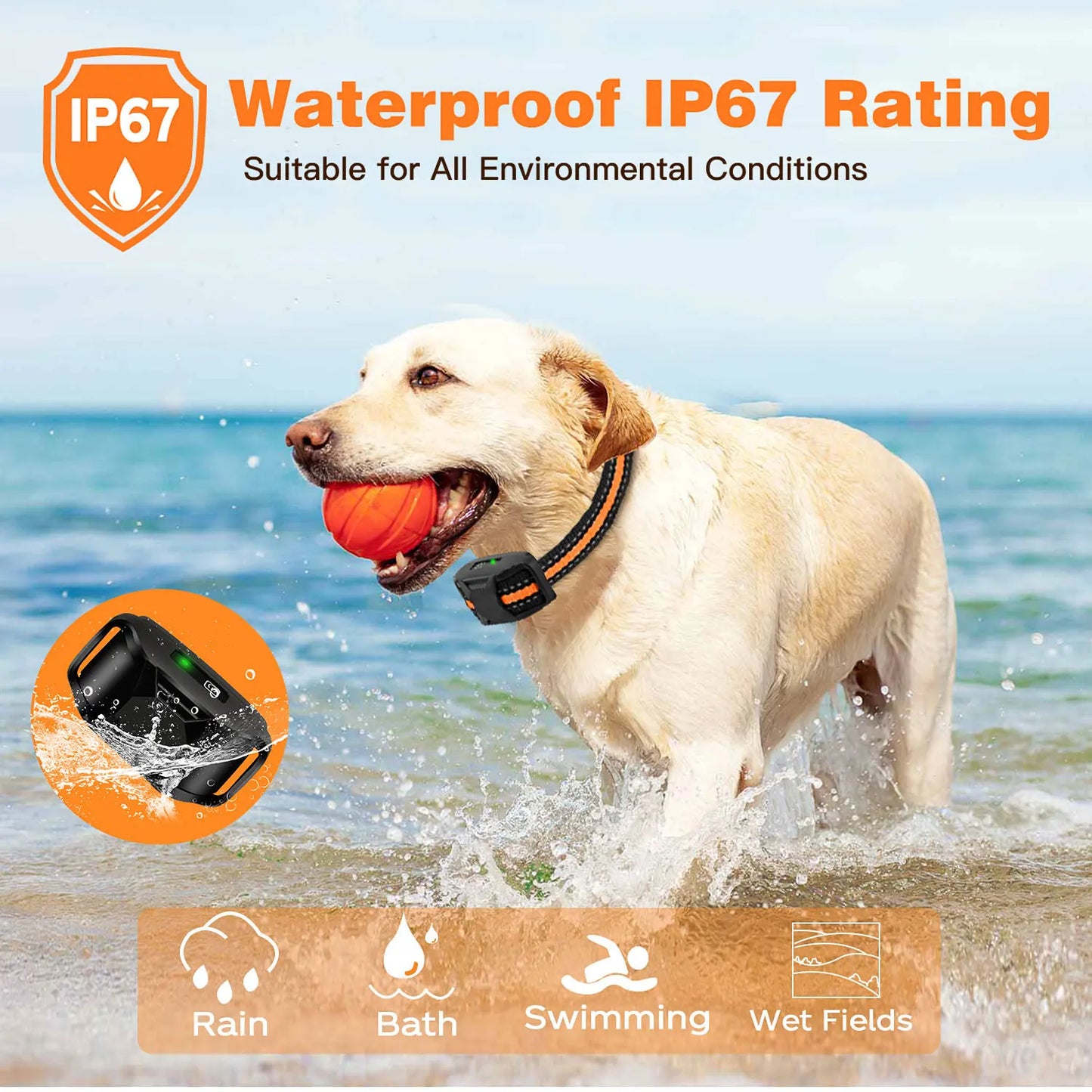 WXRPET Electric Dog Training Collar With Remote Control Waterproof Vibration