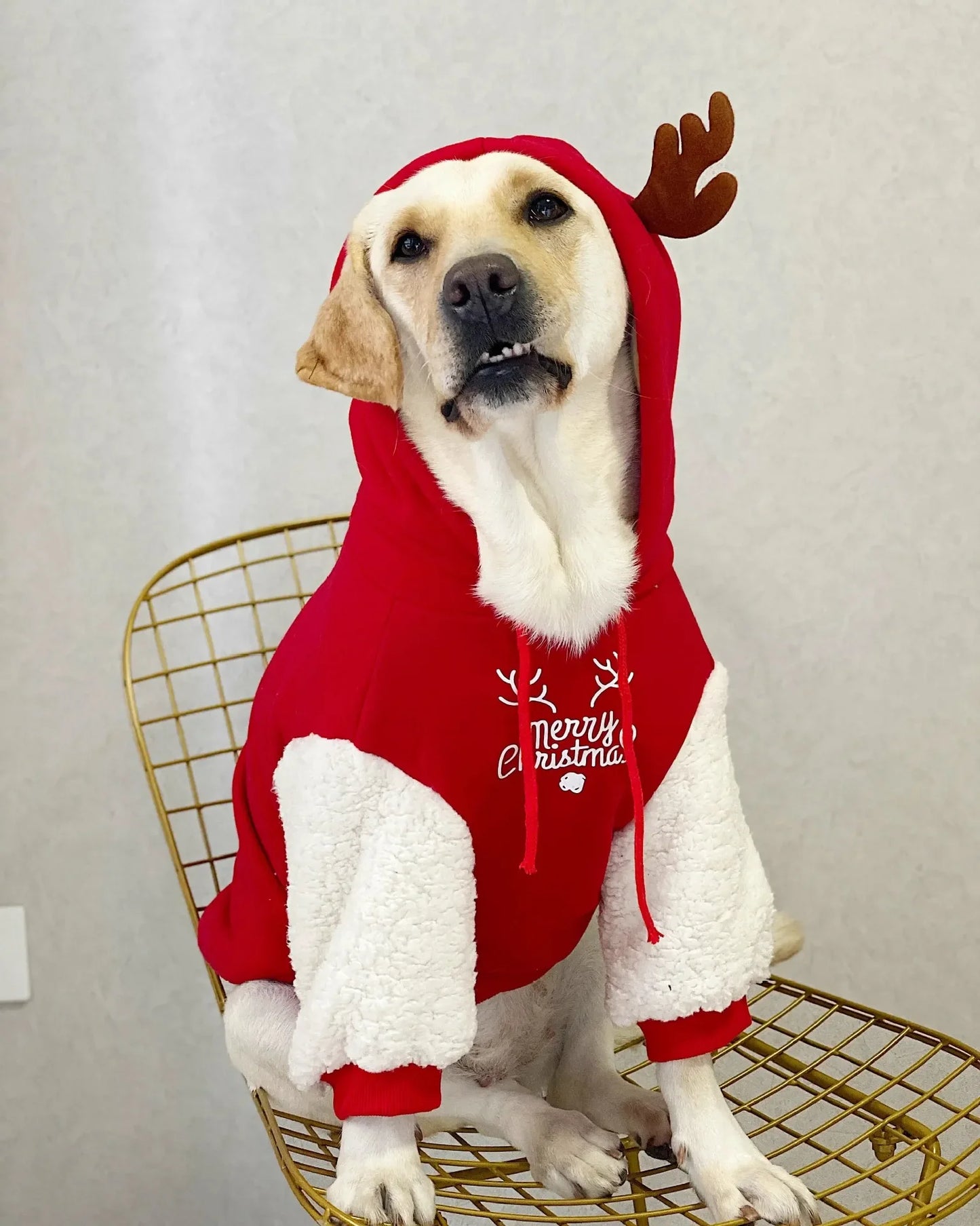 Winter Cotton Fleece Christmas Dog Sweatshirt For Cozy Winter Wear