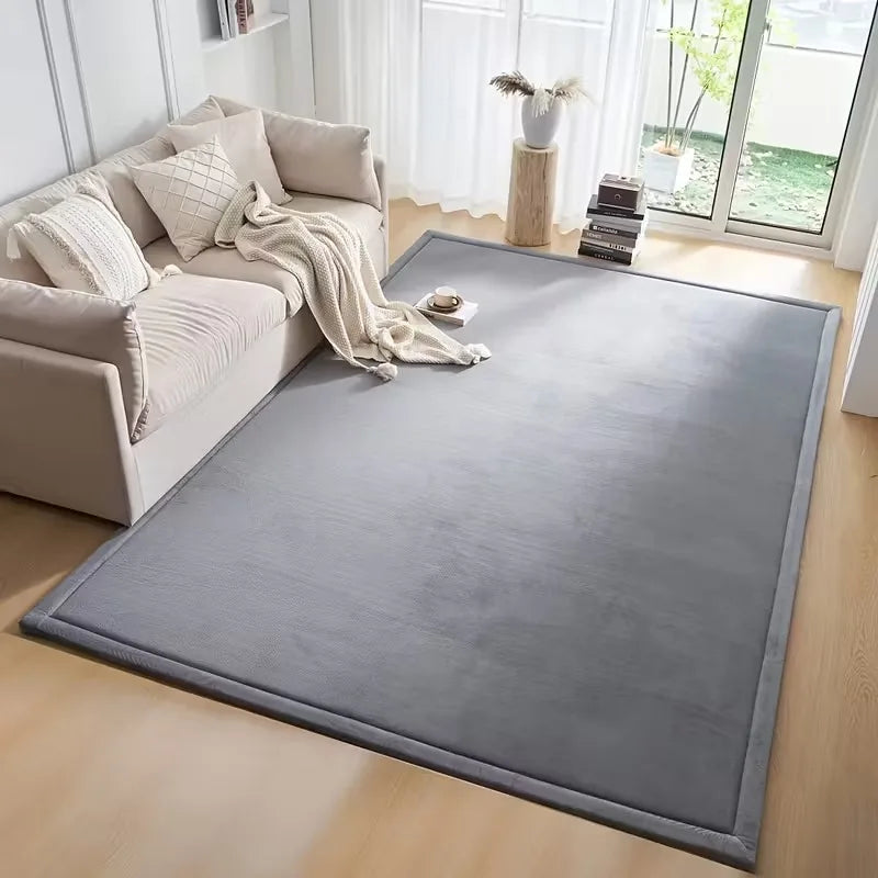 Velvet Non Slip Area Rug For Living Room And Bedroom