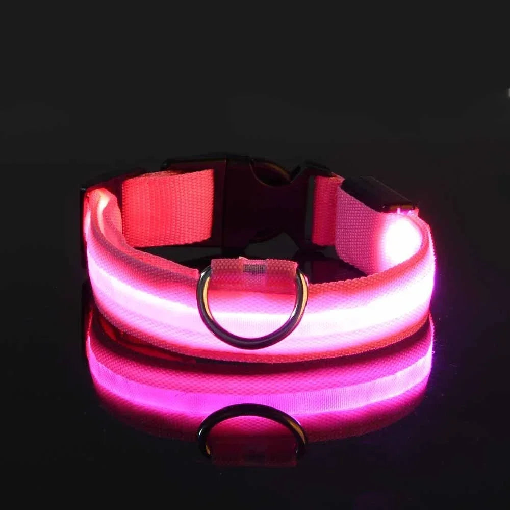 Nylon Dog Collar LED Night Safety Flashing Glow In Dark