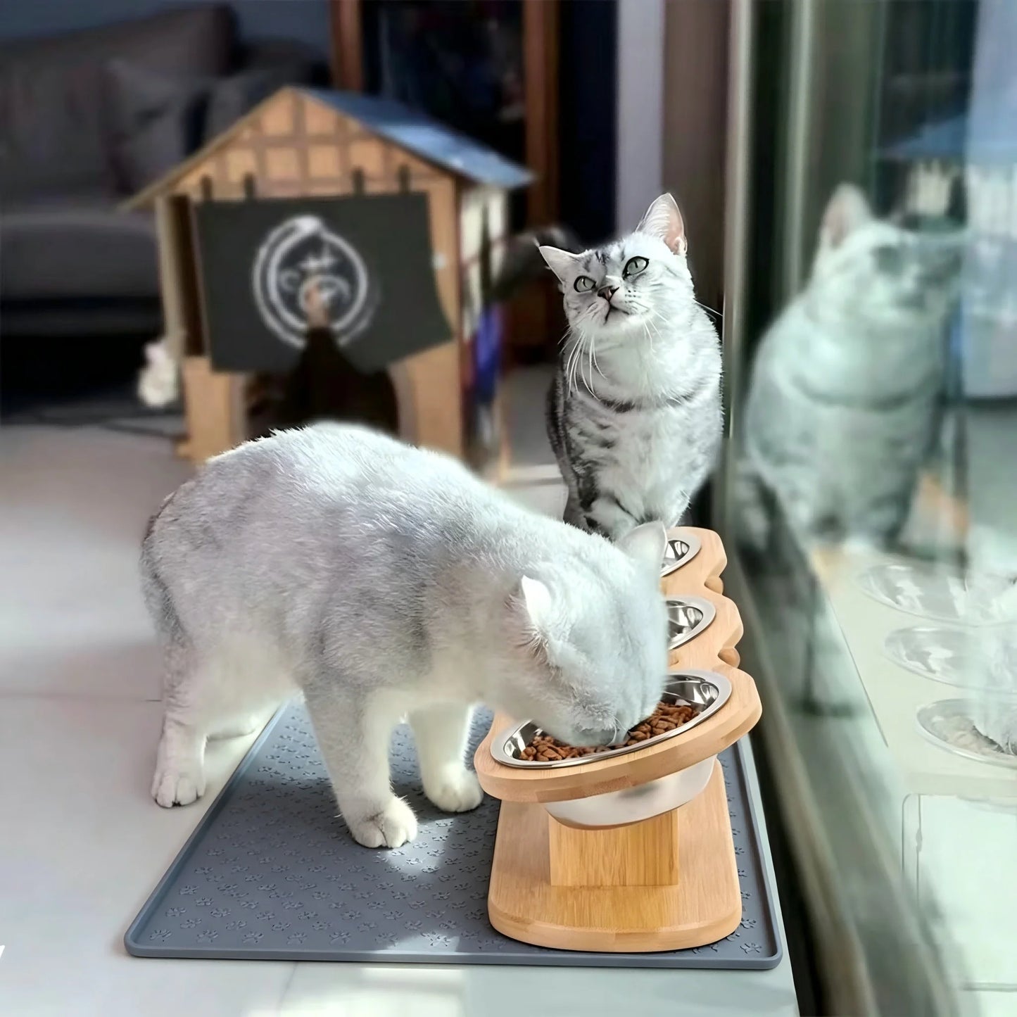 Cat Raised Feeder Three Stainless Steel Bowls Tilted 15 Degree